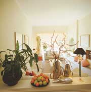 ��������-������