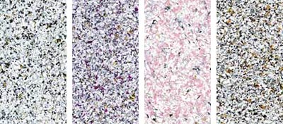 ������� ������ �����