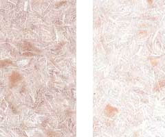 ������� ������ �����