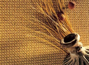 ������������� �������� ����� �������� � �� ������