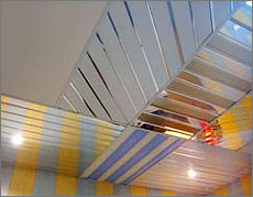 ���� ��������� ��������