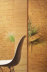 ����������� ����� � ������������ ���� ::: ��� ������������ � �����