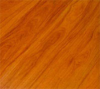 ���������� ����������� �����������