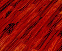 ���������� ����������� �����������