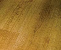 ���������� ����������� �����������