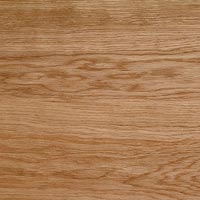 ���������� ����������� �����������