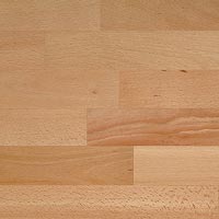 ���������� ����������� �����������