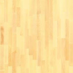 ���������� ����������� �����������