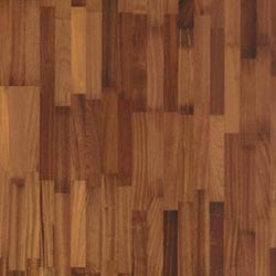 ���������� ����������� �����������