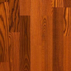 ���������� ����������� �����������