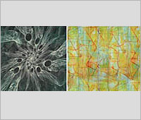 �������� ������ � ��������