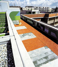 ��������������� � ������������� ����: ���������-�������� �������� Carisma