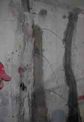 �������������� ������������� ������������ �������