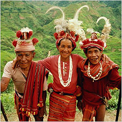 ������������ ������