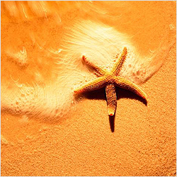 ����� ����