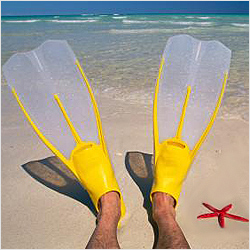 ����� ����