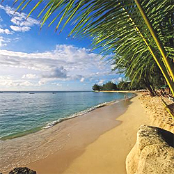 ������ ����� ����