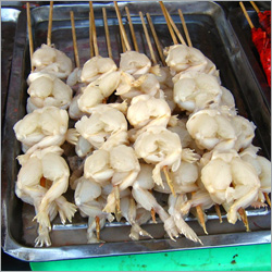 ��������� �����