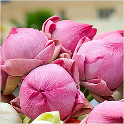 ��������. ����� ������&nbsp;