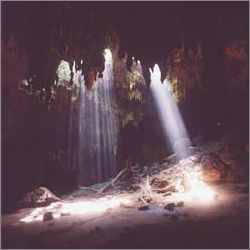 ������������ ������