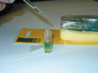 ���� ����� � �������� 