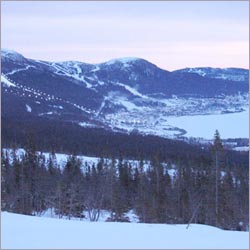 �������� ������ ���