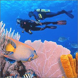 �������: ��� � ��������� ������