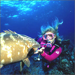 �������: 3 ����� ��������� �����������