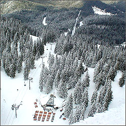 ������ ���� � ��������: ���������