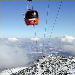 ������ ���� � ��������: �������