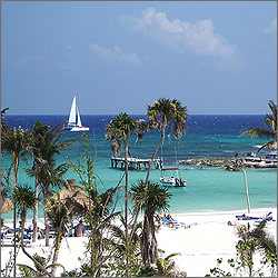 �������: 5 ������� � ����� � ��������� ������� 