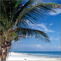 ����� ��� � �������