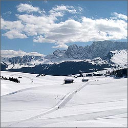 ��� ����������� ������ � ������