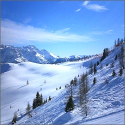 �������-��-��������