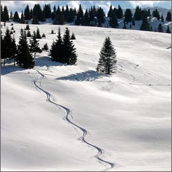 �����-�����