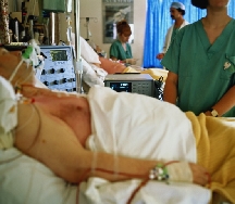 ������ �����