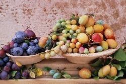 ��� ���������� ������