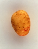 ��� ���������� �������