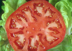 �������� ������������ ����������� �������