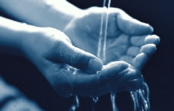 ������: ��� ������ ���� �� ���� �������?