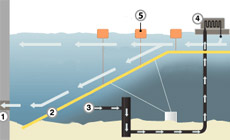 ����� ������� ������� ������� ������: 1&nbsp;� ������� ���, 2&nbsp;� ����������� �������� ������, 3&nbsp;� ����� ���� � ����������� �������, 4&nbsp;� ������� ���������� ������, 5&nbsp;� ��� (����������� � ����� news.bbc.co.uk).