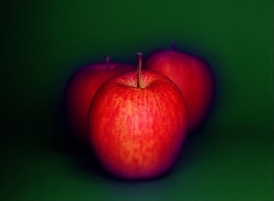 ������ ��� ������� �������