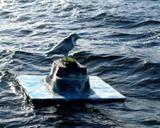 �� ��������� ����� ������ ����, ����� � ����� (���� � ����� robop.co.uk).