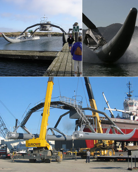 ������ �����: ���� �� ������ ������ �����, "�������������" � ������������� ���������. ������, �������, ��������-����������� ����������� �� ������ ������� ����� �������� �����������, ��� ���������� ���������� flickr.com (���������� just...eD/flickr.com � Marine Advanced Reasearch).