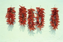 ����� ���� � ������ ���� ������������ ����� �����