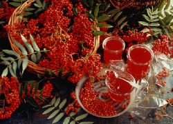 �������������� ������� �������� ���