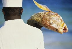 �������� �������� ������� ����