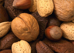 ������� ����� - ��������� ��� ������