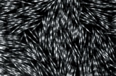 ������ �� ������������ �� ��������� ���������� ��������. ��� ���������� ��������� ����� �������, ��� ������� ������������� ����������� "���������" �������� ����� ����������, ��� ������ ����� ������� ������������� ���� (����������� G. M. Dougherty, F. Y. S. Chuang, S. S. Pannu, K. A. Rose).