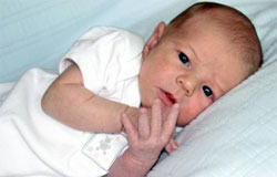 ������� �������������� ������������� ��������� �� �������������